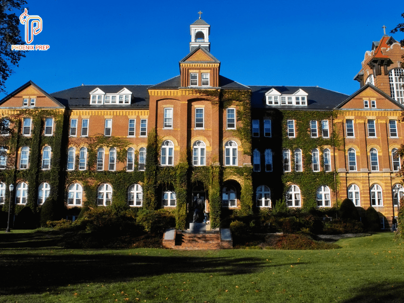 Liberal Arts College - Giáo Dục Toàn Diện