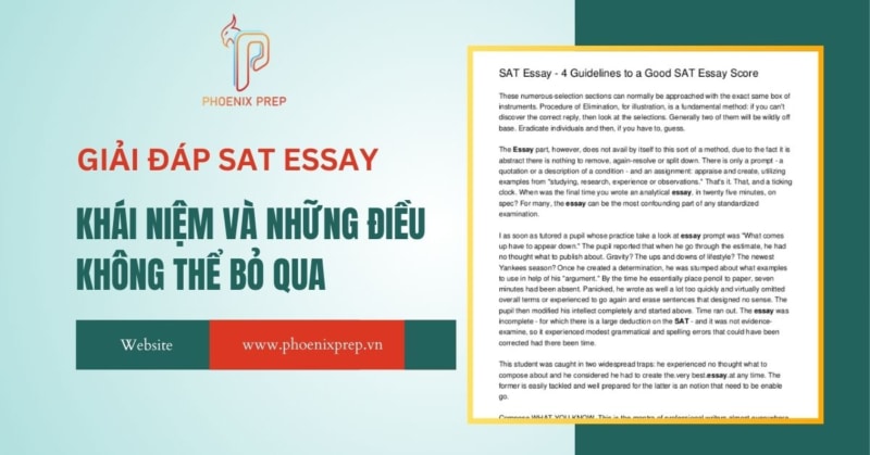 Giải đáp SAT Essay: Khái niệm và những điều không thể bỏ qua